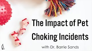 Pet Choking Incidents in Emergency Veterinary Medicine Dr Judy Morgan interviews Dr Barrie Sands