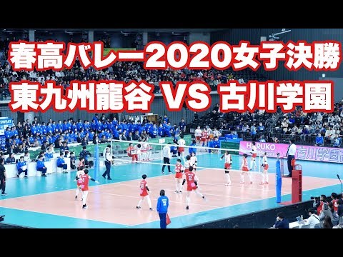 春高バレー　DVD　春の高校バレー　女子準決勝　東九州龍谷VS八王子実践 春高バレー DVD 春の高校バレー 女子準決勝 東九州龍谷VS八王子