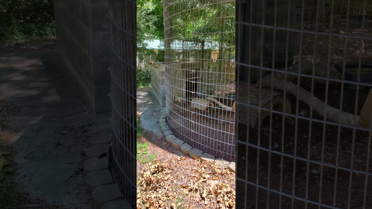 Rowan Wildlife Adventures at Dan Nicholas Park