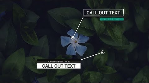 Modern Callout Titles Premiere Pro Templates