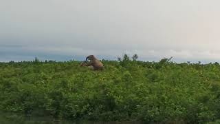 Download Lagu Hate MP3