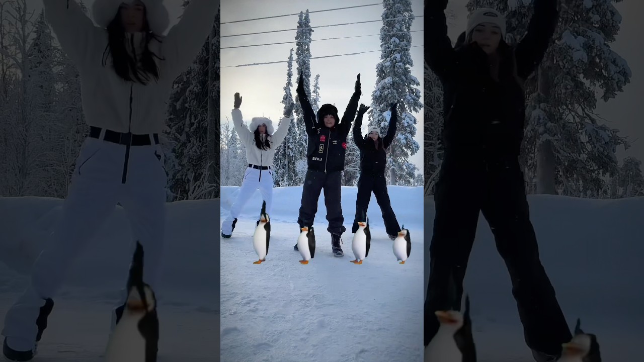 Met some friends in the arctic circle! #dance #dancechallenge