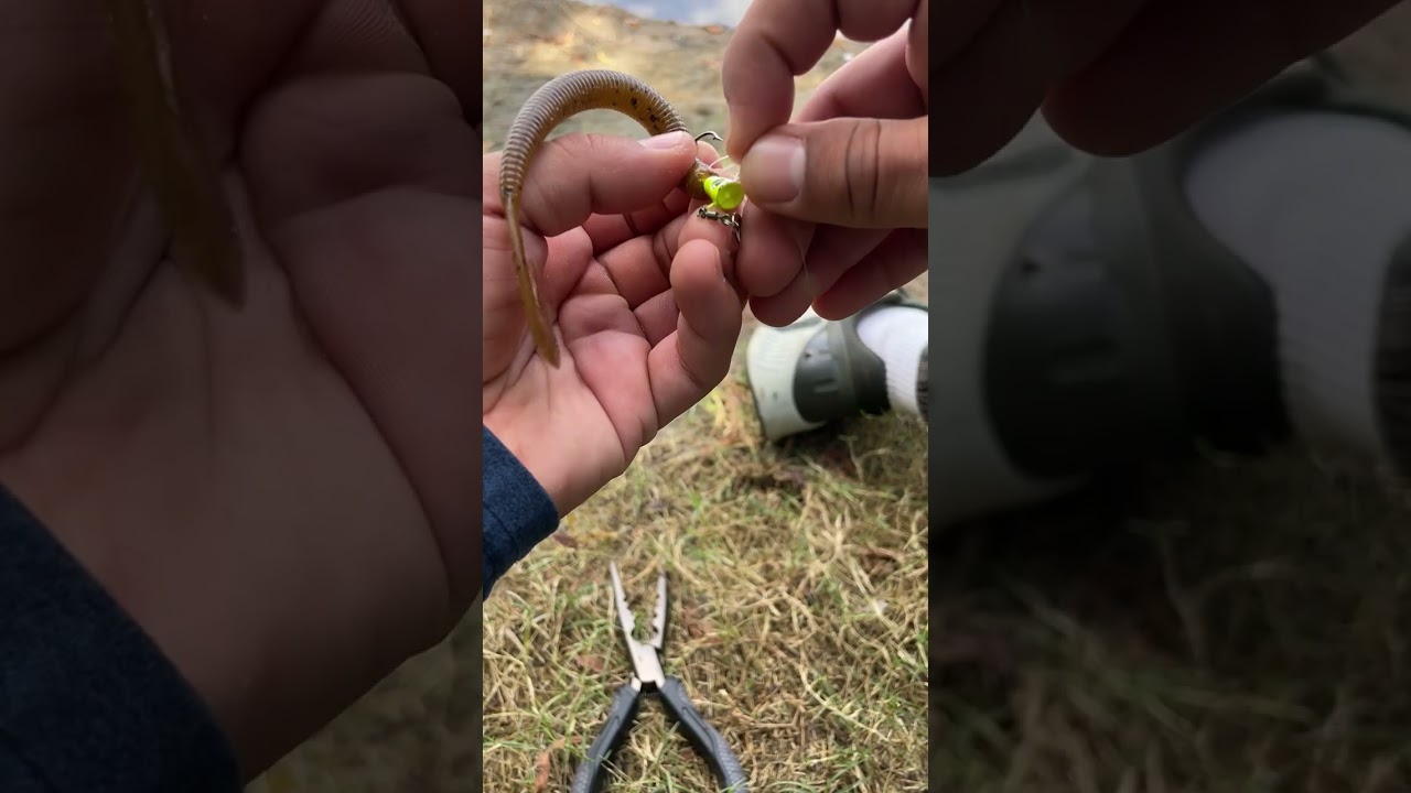 Bass Fishing with Spinner Jighead/Squirmin Worm