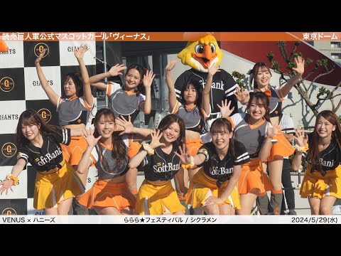 【VENUS × ハニーズ】2024/5/29(水) パフォーマンス・ステージ(読売ジャイアンツ×福岡ソフトバンクホークス)【4K60fps】