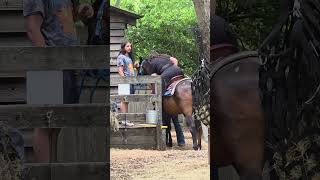 Rose on a Horse