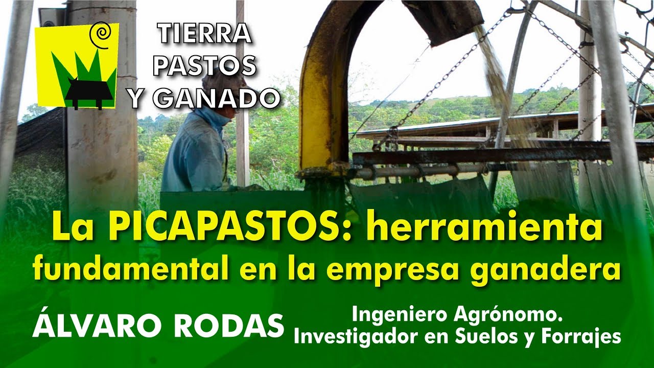 La Picapastos: herramienta fundamental en la productividad de una empresa ganadera.