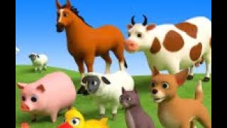 Animal Sounds Gameplay - Animals Zebra,Guinea Pig, Ferret, Hare, Cat, Dog,