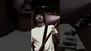 foo fighters