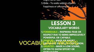 Guided Reading Activities and Lesson Plans Fiction Set 5 - Sports