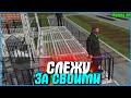 СЛЕЖУ ЗА ПАЦАНАМИ ИЗ ФАМЫ! ЧЕМ ЗАНИМАЮТСЯ БИРЫ? | #679 | Родина RP (CRMP)