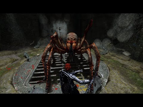 Elf Warrior vs. Shelob