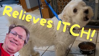 Hills Science Diet Sensitive Stomach and Skin Dog Food Review
