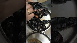 Litti chokha 😋😋 #indian #kitchen #cooking #shorts #videos
