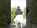 Summers here but its not all sunshine heres mjaequine staying dry in her equicoat this weekend