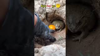 funny video 😂😂 main Tay dar ghaye #youtobshort #viralvideo #funny #subcribemychannel #viralshorts