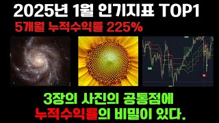 2025년 1월 트레이딩뷰 인기지표 1등 누적5개월 수익률 225%  #주식#코인#선물#매매법