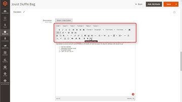 Tutorial Wysiwyg Editor Magento 2 Pro