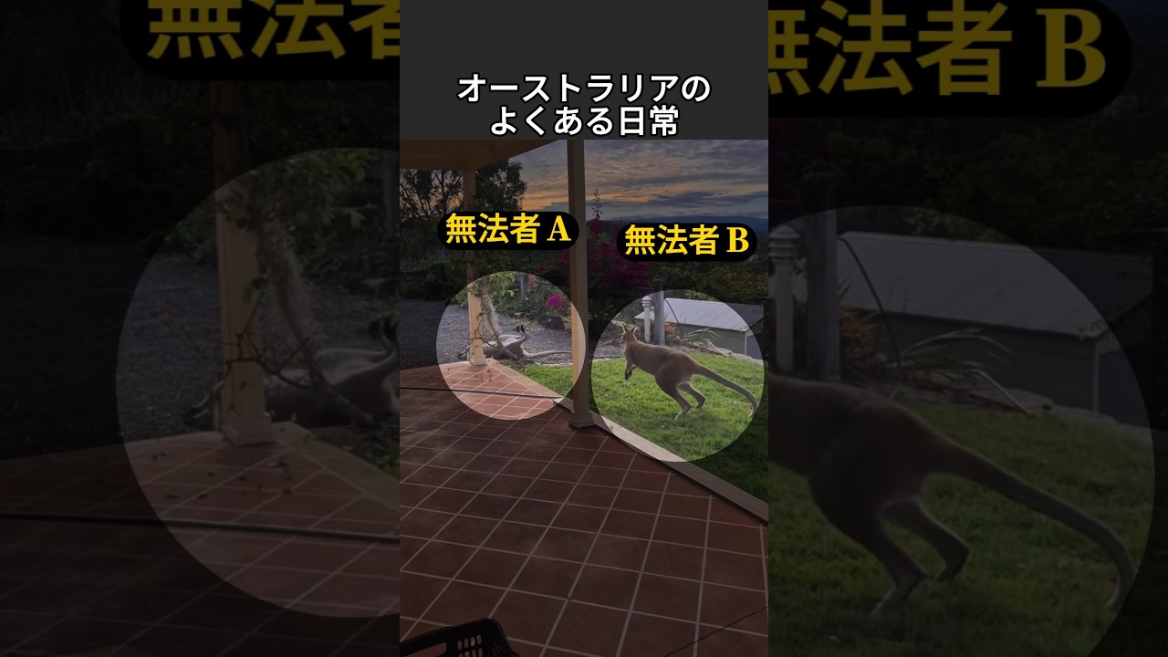 朝、扉を開けたら
