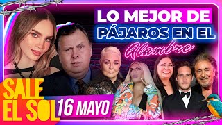 Belinda, Diego Boneta, Lupita D'Alessio Wendy Guevara | Lo mejor de pájaros  | 16/05/2024