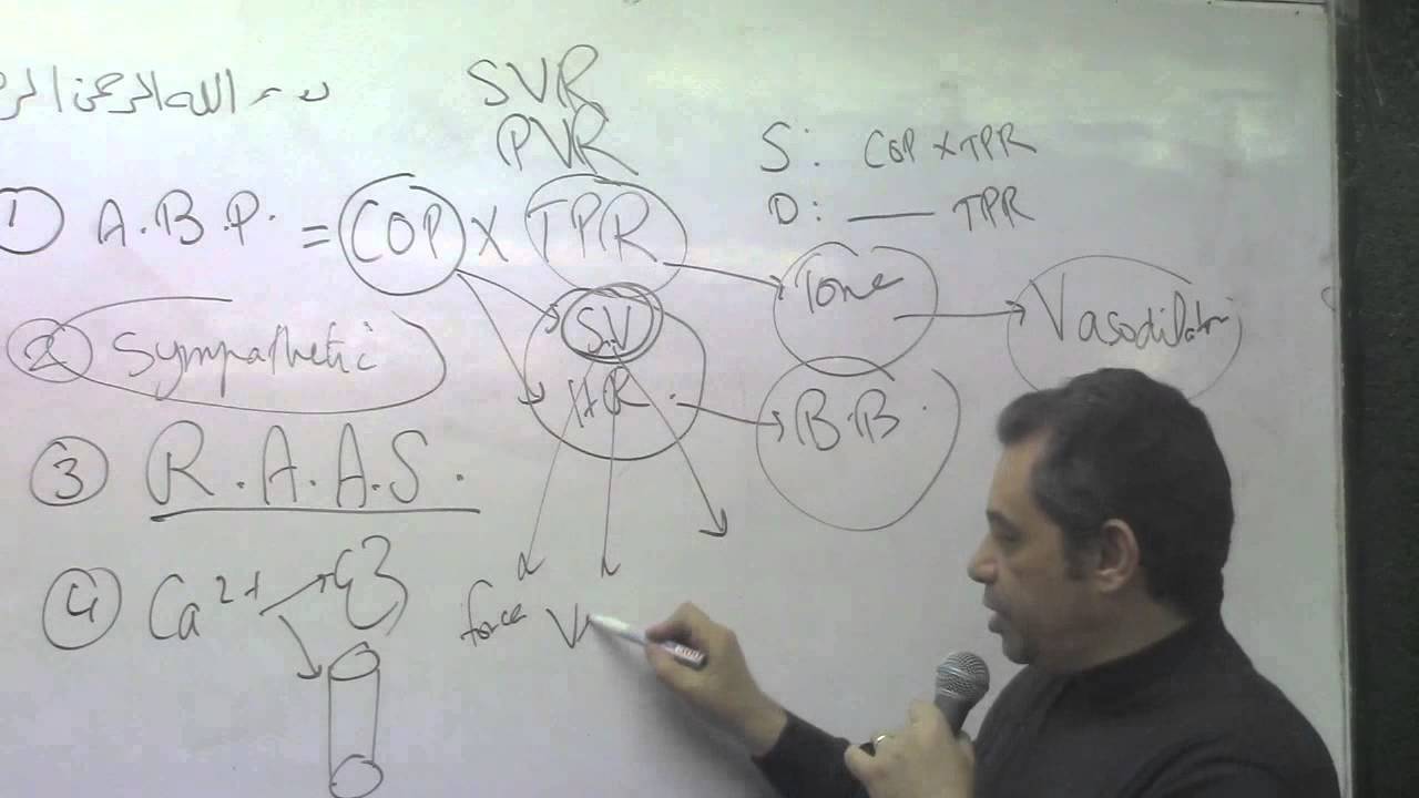 33.Dr. Ahmed Abdelrahman [Hypertension: RAAS]