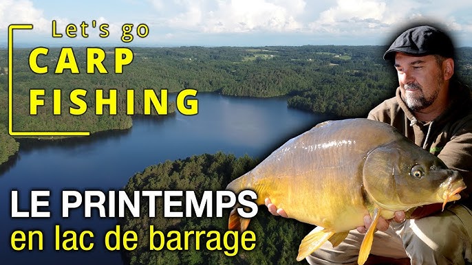 CARPE] Pêche de la carpe en été en rivière canalisée - Let' Go