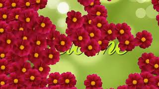 Interactive effect: Red Flower Scatter