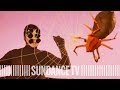 Spider (SEDUCE ME Season 2)