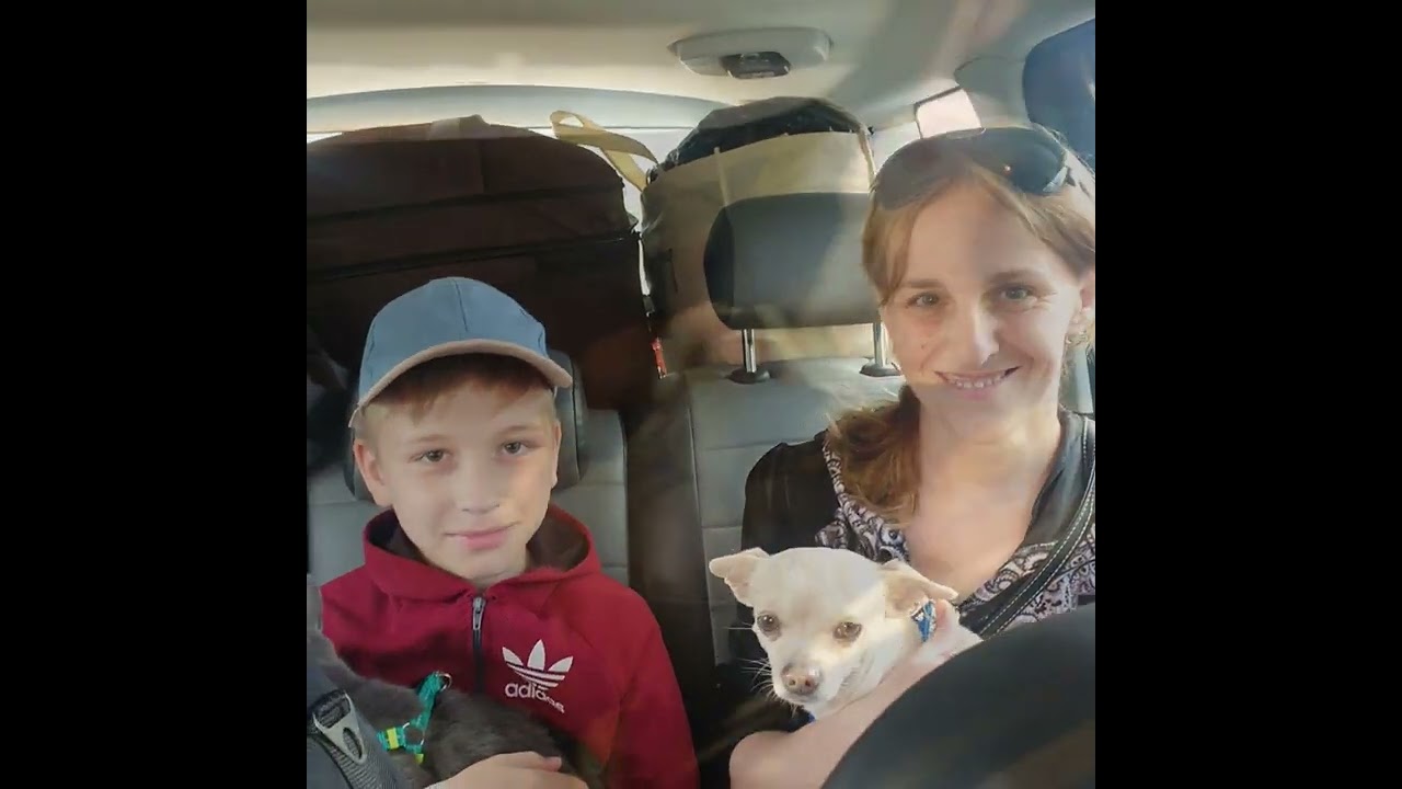 Ночі і дні / Ночи и дни / Nights and Days