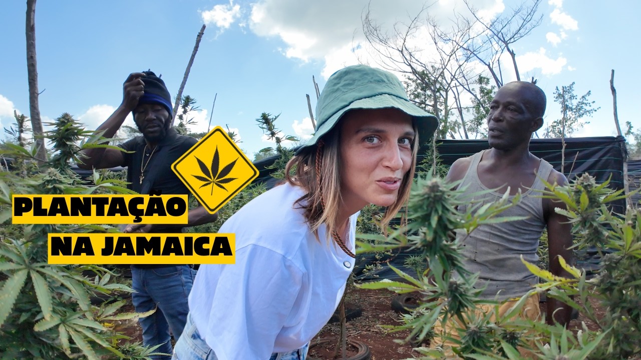 VISITANDO FAZENDA DE UM RASTA NA JAMAICA