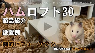 ハムスターロフト【ハムロフト30】ハムスターケージ（キンクマケージ）ハムスターケージ紹介_ゴールデンハムスターケージ