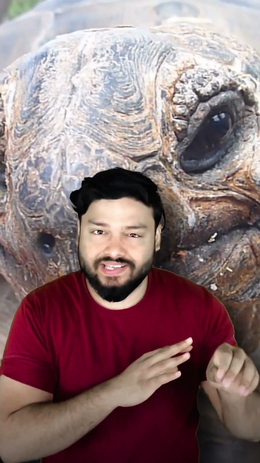 0192 YEARS OLD Jonathan The Tortoise Born Even Before GANDHI #shorts