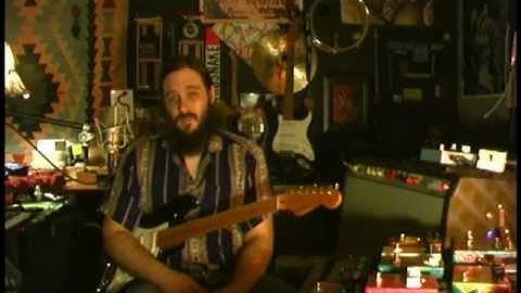 Exploring Fuzz Face Bias Settings with Birdsnake