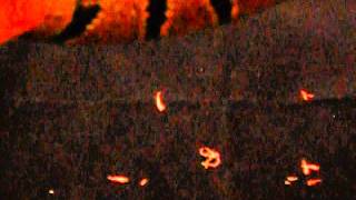 Famous 7/25/11 Ball python collection update Wealth