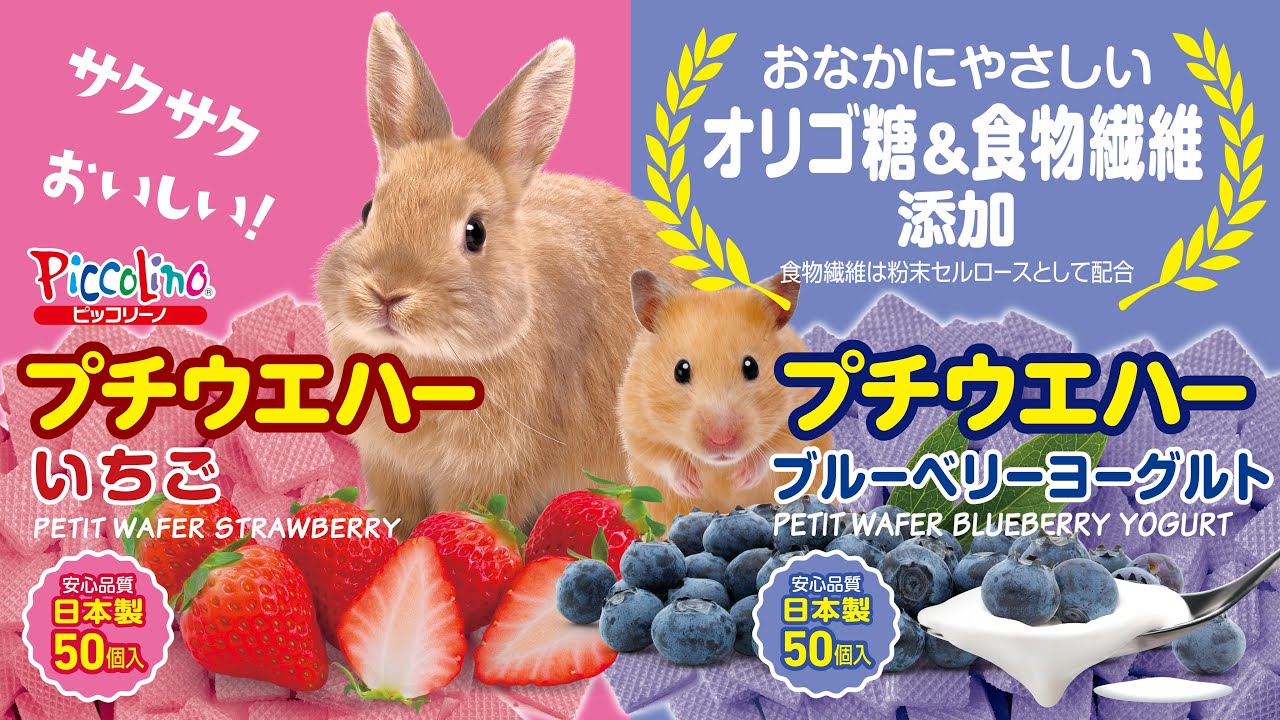 プチウエハー ブルーベリーヨーグルト（50個入） | 株式会社