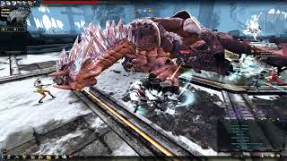 [Vindictus] Beokros 24-man Raid (8 minutes)