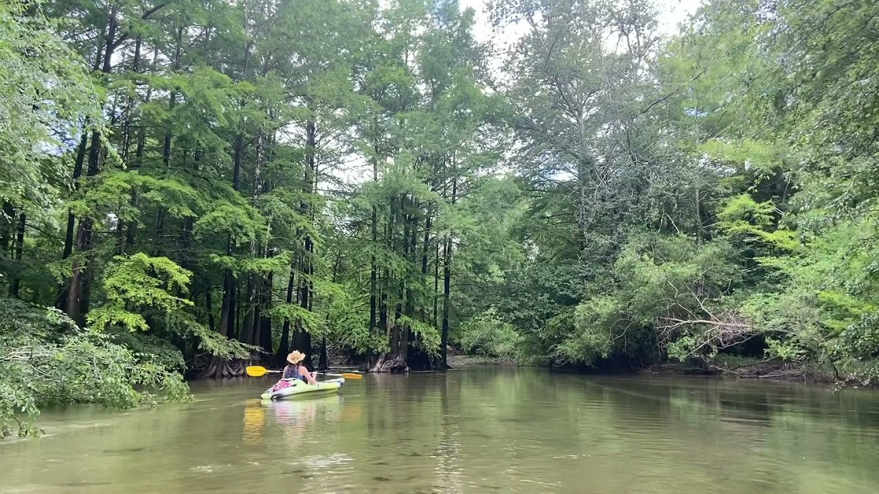 Ochlockonee River & Spring Creek Promo