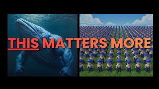 Why Server Health Isn't About Whales (And Never Was) | Last War: Survival