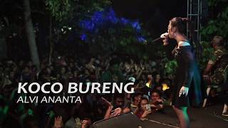 TERBARU ''KOCO BURENG'' ALVI ANANTA