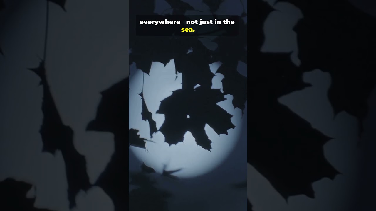 The Moon Quietly Pulls on Your Body