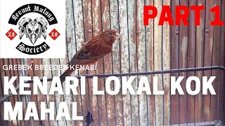 GREBEK Kenari Lokal Tapi Gak Lokalan. Part 1