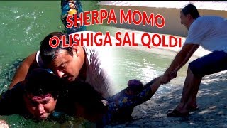 Sherpa Momo o'lishiga sal qoldi