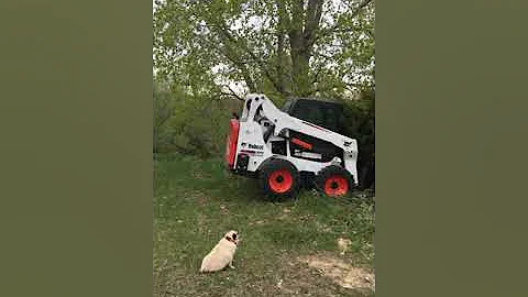Tree Puller