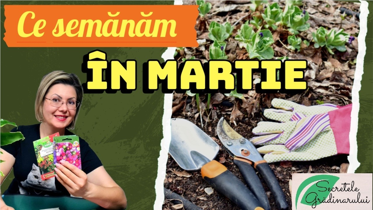 Ce semănăm în MARTIE.  Ghid complet pentru grădinari. 🌸🌱🌿
