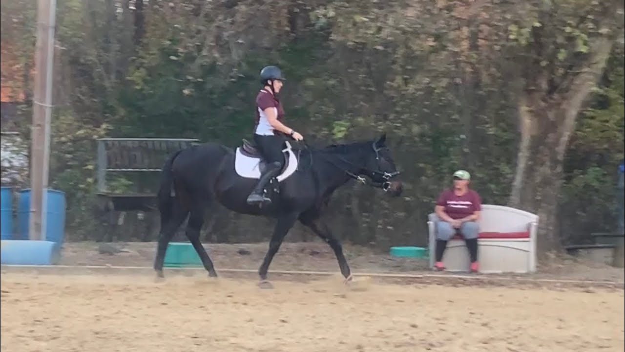11.7.2023 PIVO Jenna & Mocha CRLU Lesson - YouTube