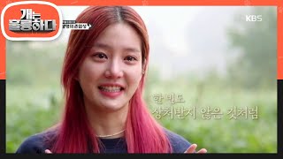 개는 훌륭하다 - [맘찢주의] 아직 떠나보내지 못한 유비...20191118
