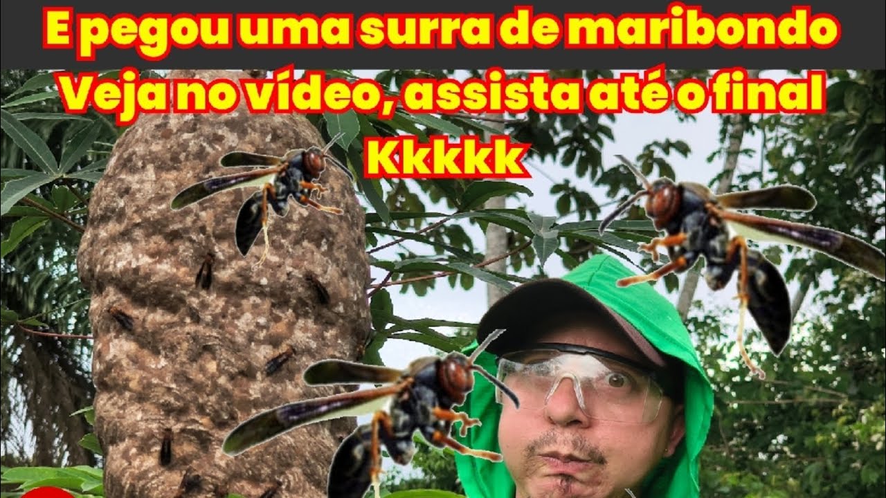 DJ maluquinho pegou uma surra de maribondo,e pra completar,caiu bolando kkkk