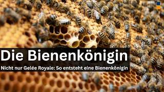 Ohne perfektes Mikroklima keine perfekte Königin - neue Erkenntnisse zur Weiselzelle!