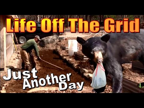 OUR HOMESTEADING LIFE   Another Day On The Mountain.  An Off Grid Living Vlog #124