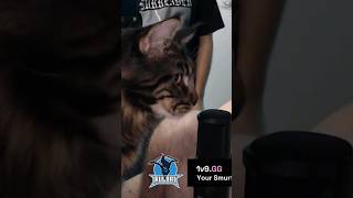 STREAMER REVELACION 😱 | Twitch: Rulor1 #rulor1 #meme #streamer #esland