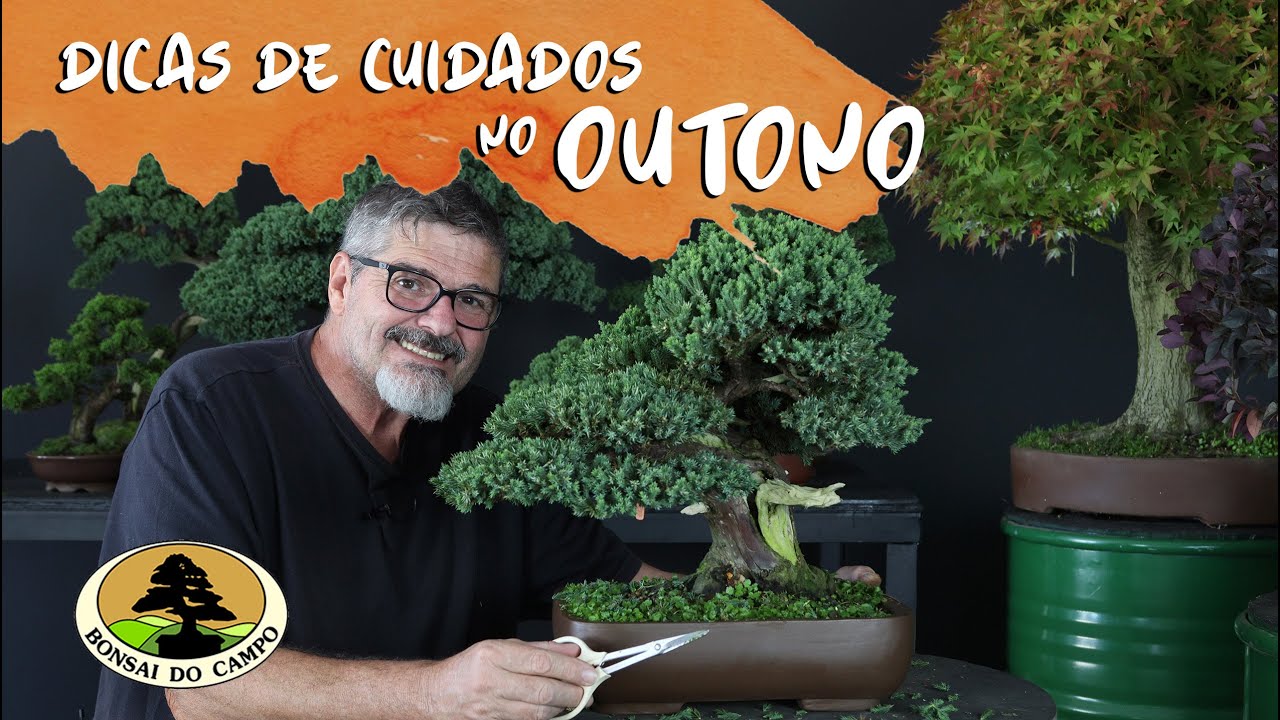 O BONSAI e alguns cuidados no OUTONO
